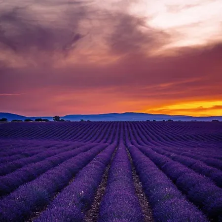 בית נופש En Provence 3 T3 Jardin Clos *