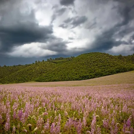 בית נופש En Provence 3 T3 Jardin Clos *