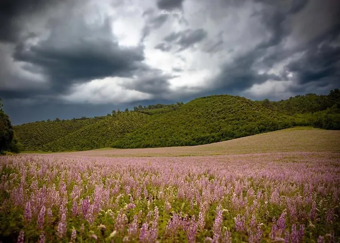 Holiday home En Provence 3 T3 Jardin Clos *