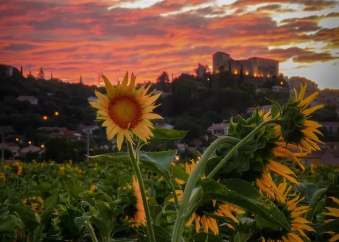 En Provence 3 T3 Jardin Clos Holiday home